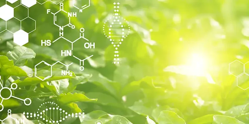 light showing through closeup of organic matter