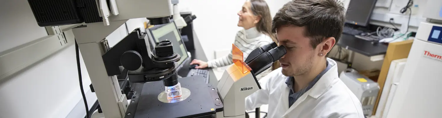 Person looking through microscope; another person in background in lab
