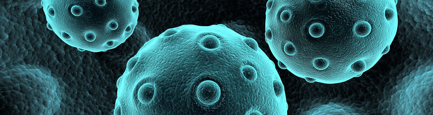 Electron microscopy photo of a white blood cell.