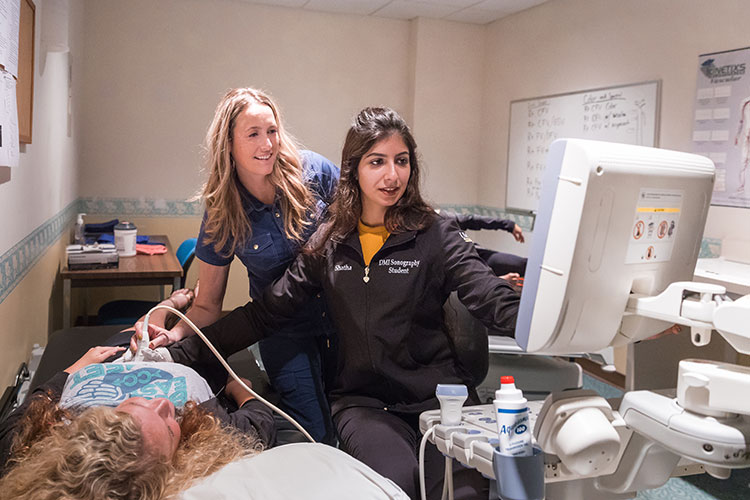 Biomedical Sciences: Diagnostic Medical Sonography – School of ...