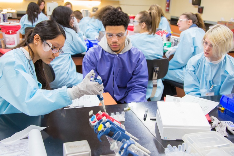 Biomedical Sciences students go beyond books and get extensive training on microscopes and lab equipment that simulates the work you will do in your career.