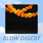 SLOW DIGEST