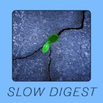 SLOW DIGEST