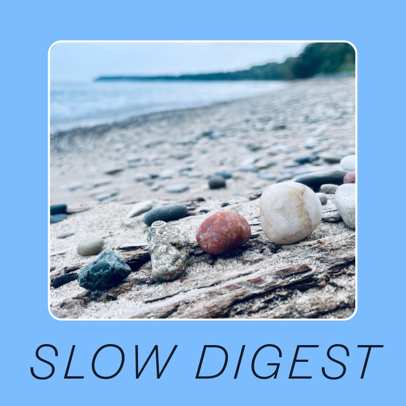 Slow Digest: A Story Fellow’s Reflections on Attention