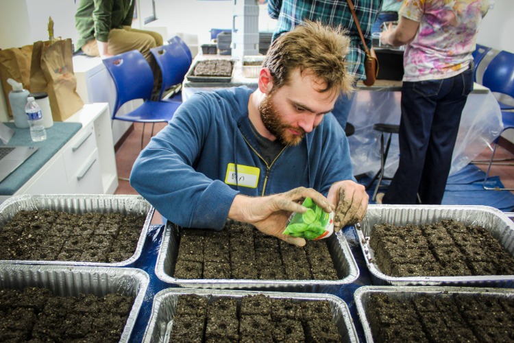 A workshop participant adds seeds to soil blocks at the Human Club's MUD Potluck, organized by Graduate Fellows Chloe Kwiatkowski and Ceceilia Loeschmann, February 2026.