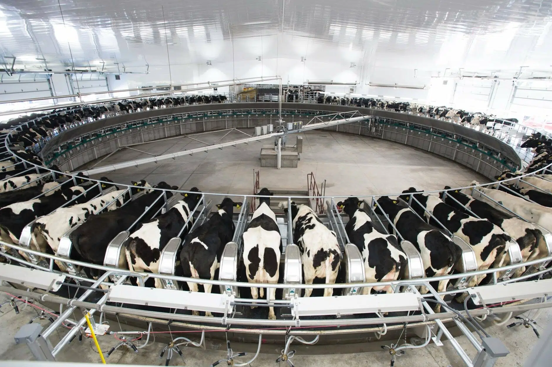 Courthouse News Service Interviews Scanlan