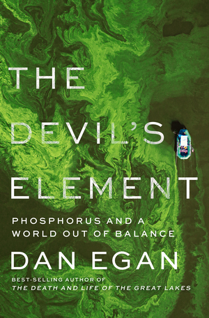 The Devil's Element book cover image