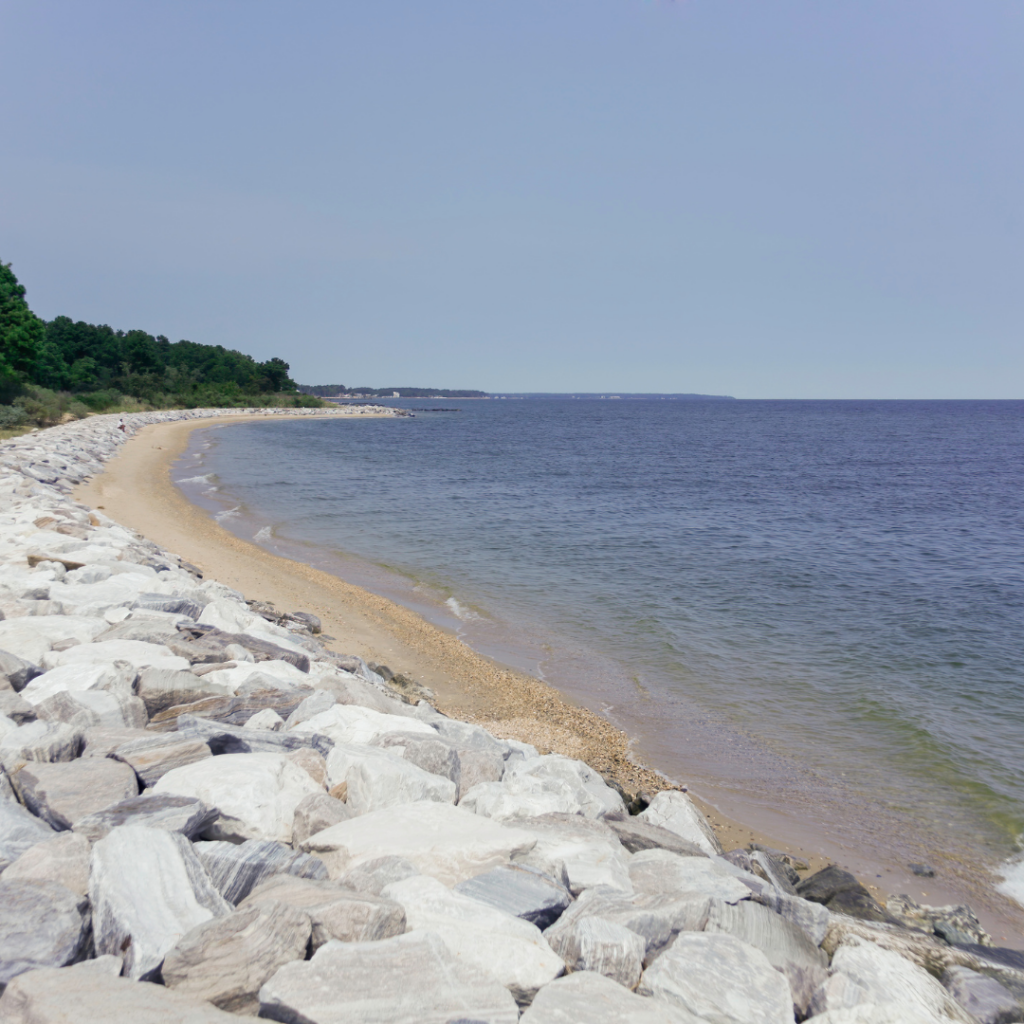 A coastline featuring shoreline armoring with a riprap revetment of large, light gray rocks, separating a line of trees from a narrow sandy beach and a large, calm body of blue water.