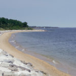 A coastline featuring shoreline armoring with a riprap revetment of large, light gray rocks, separating a line of trees from a narrow sandy beach and a large, calm body of blue water.