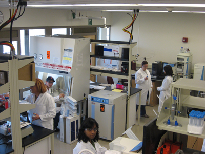Summer Undergraduate Research Program - Chemistry & Biochemistry