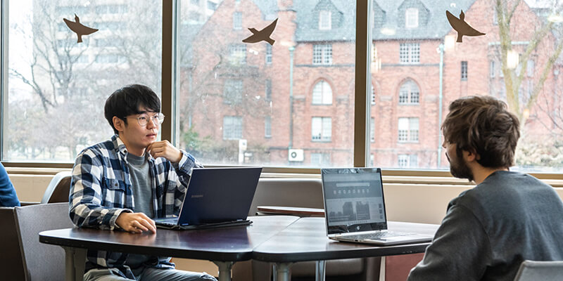 Asian male student working on laptop