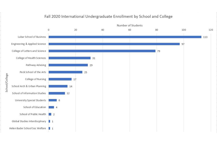 Bar graph showing undergraduate international student enrollment for 2020