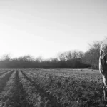 a person dressed as an astronaut standing in a field