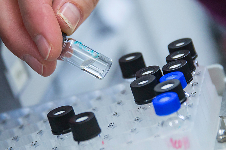 Several CCEP Researchers Ranked Among Top 2% in the World