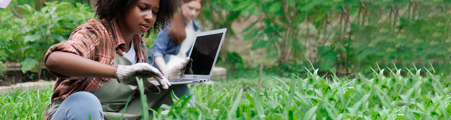 person doing research in a bog