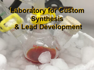 Center for Custom Synthesis and Lead Development