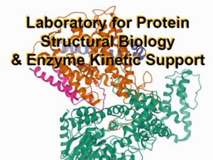 laboratory for protein structural biology and enzyme kinetic support