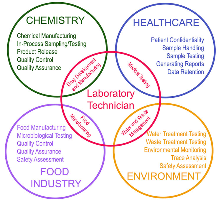 Venn diagram showing Laboratory Technician skills across Chemistry, Healthcare, Food Industry, and Environment sectors