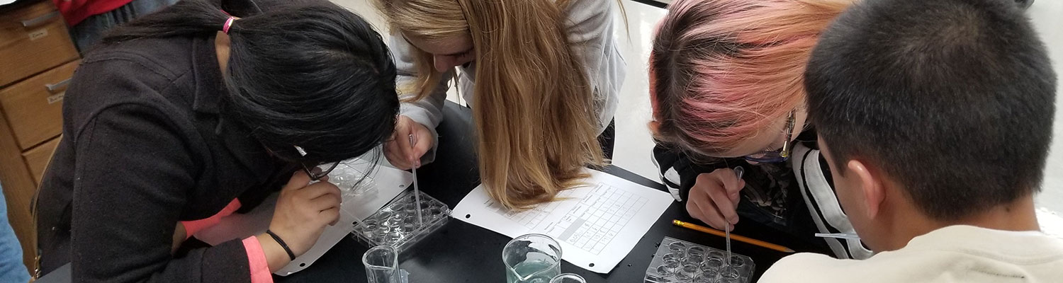 Students in Amy Zientek’s biology and ecology class work on a project at Brookfield Academy