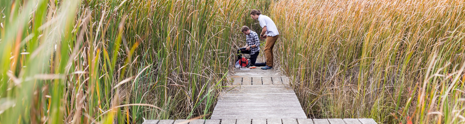 Two students on boardwalk in marsh