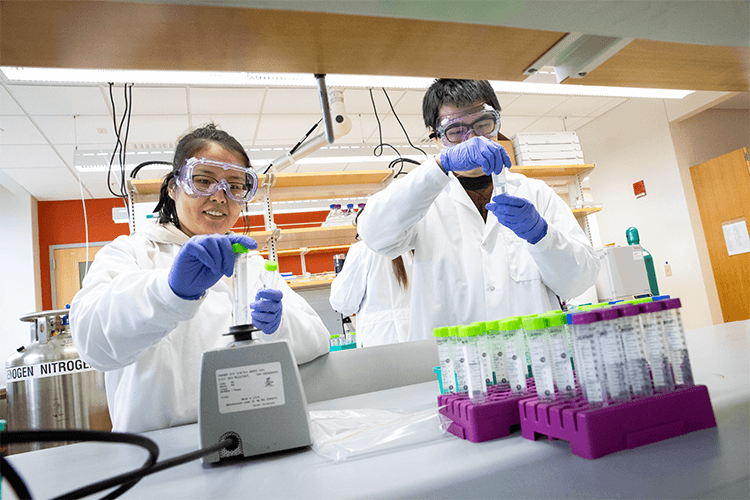 2 researchers in a lab