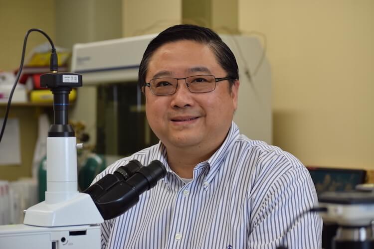 Renewable energy expert Deyang Qu named UWM Distinguished Professor