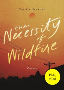 The Necessity of Wildfire cover