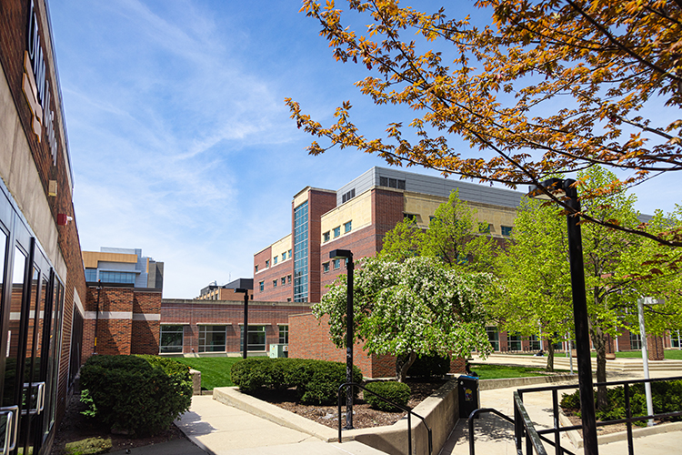 Campus buildings on a sunny spring day.