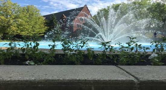 Close up plants with a flowing fountain, trees, and a red brick building in the background