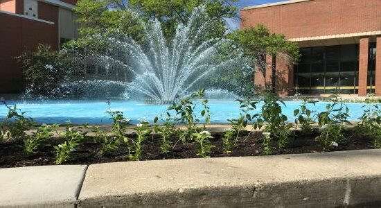 Close up of plants with a flowing fountain and the Golda Meier library in the background