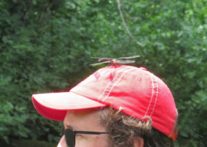 Dragonhunter on hat on head