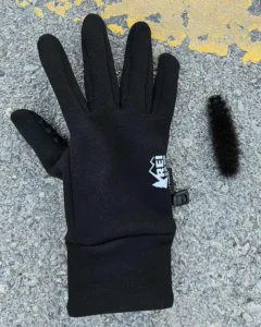 Black Leopard Moth next to a glove for size comparison