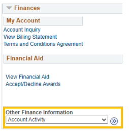 Screenshot of a PAWS account showing the "Account Activity" option in the dropdown menu labelled "Other Finance Information."