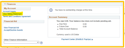 Screenshot of a PAWS account page showing the "View Billing Statement" option to the left of the Account Summary.