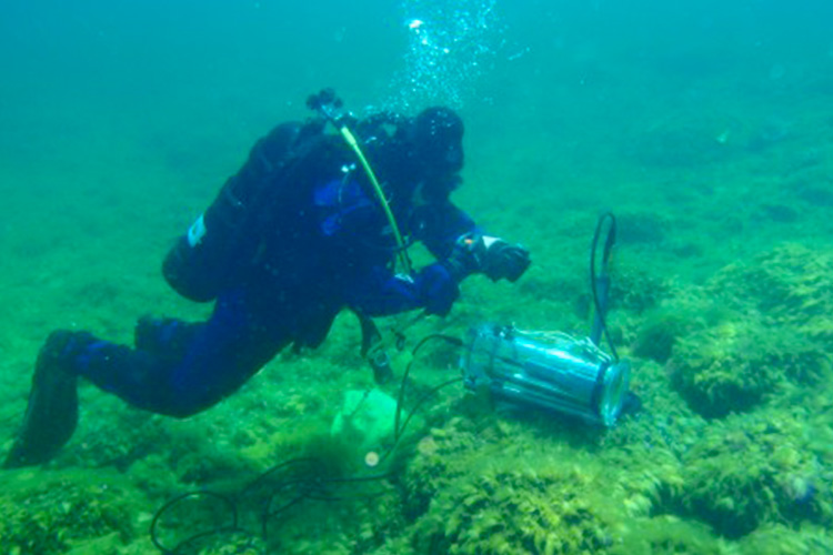 Diver collects samples under water in Lake Michigan