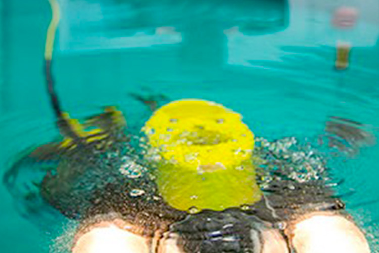 A remotely operated vehicle (ROV) deployed by researchers in the school to observe underwater systems.