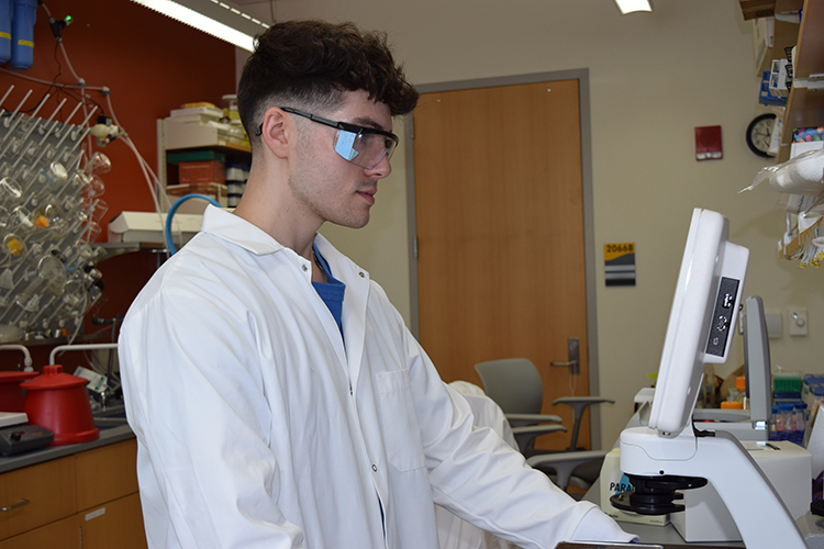 PhD Student Researches How Nanoparticles in Batteries Affect Aquatic Environments
