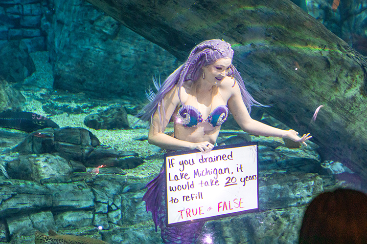 Pierce VanValkenburg as Mermaid Echo at Discovery World