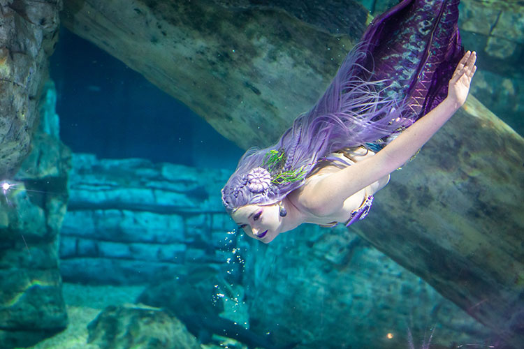 CBS 58 Features Mermaid Echo, an SFS Student Who Makes Conservation Education Fun