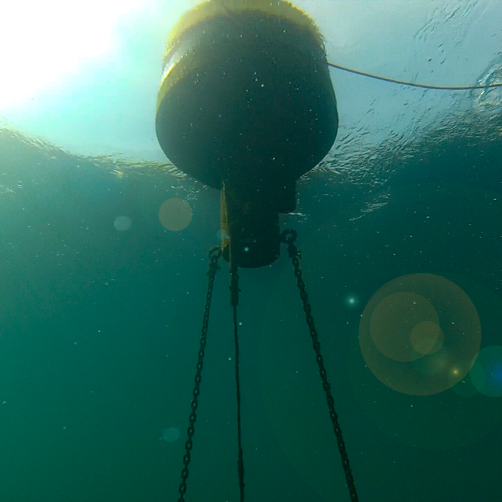 View of the Atwater buoy under the water