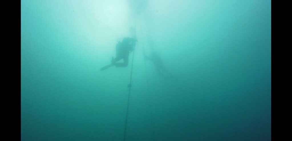 Researchers underwater setting up a buoy