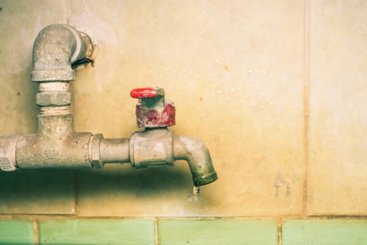 Scanlan and Lee Published in Journal of Environmental and Administrative Law