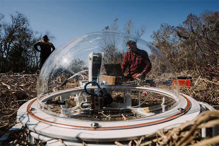 Gage Hunter, right, a graduate student, and Manab Dutta, a postdoctoral researcher, use sensors to measure methane emanating from a swamp near New Orleans.