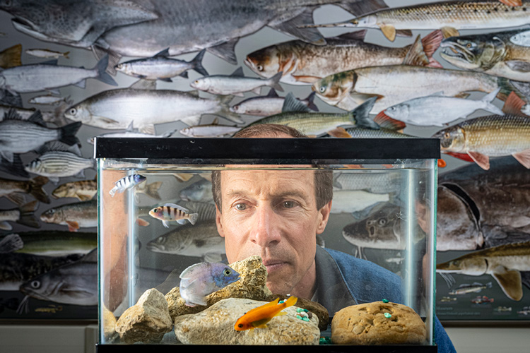 A man looks inside a fish aquarium.