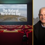 Headshot of man paired with a movie theater showing a movie.
