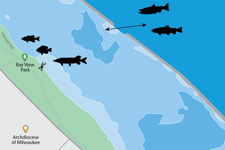 Crop of South Shore map.