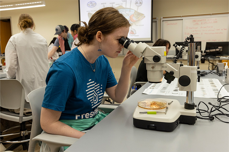 A student examines a sample through a microscope during a freshwater science laboratory class.