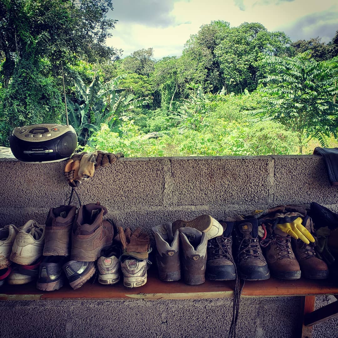 Volunteer shoes and boots after their shift