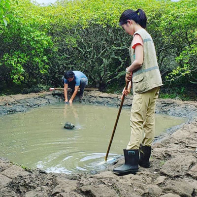 interns cleaning pond