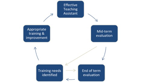 Teaching Assistant evaluation leading to improved performance and greater effectiveness.